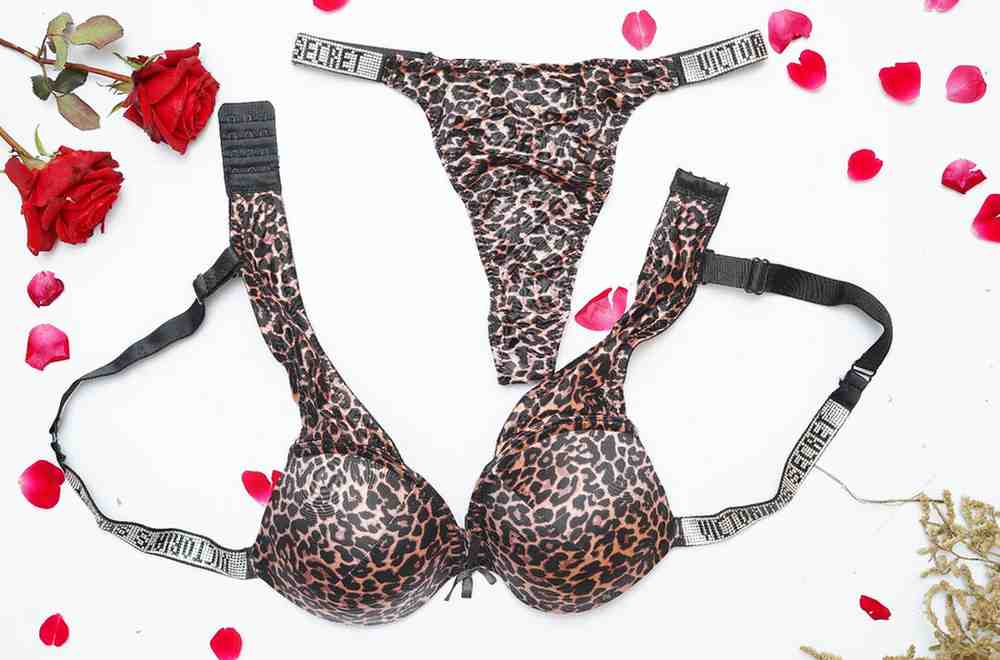 Victoria Secret's Pushup Hearts Bra Set