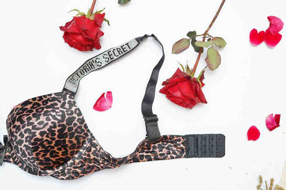 Victoria Secret's Pushup Hearts Bra Set