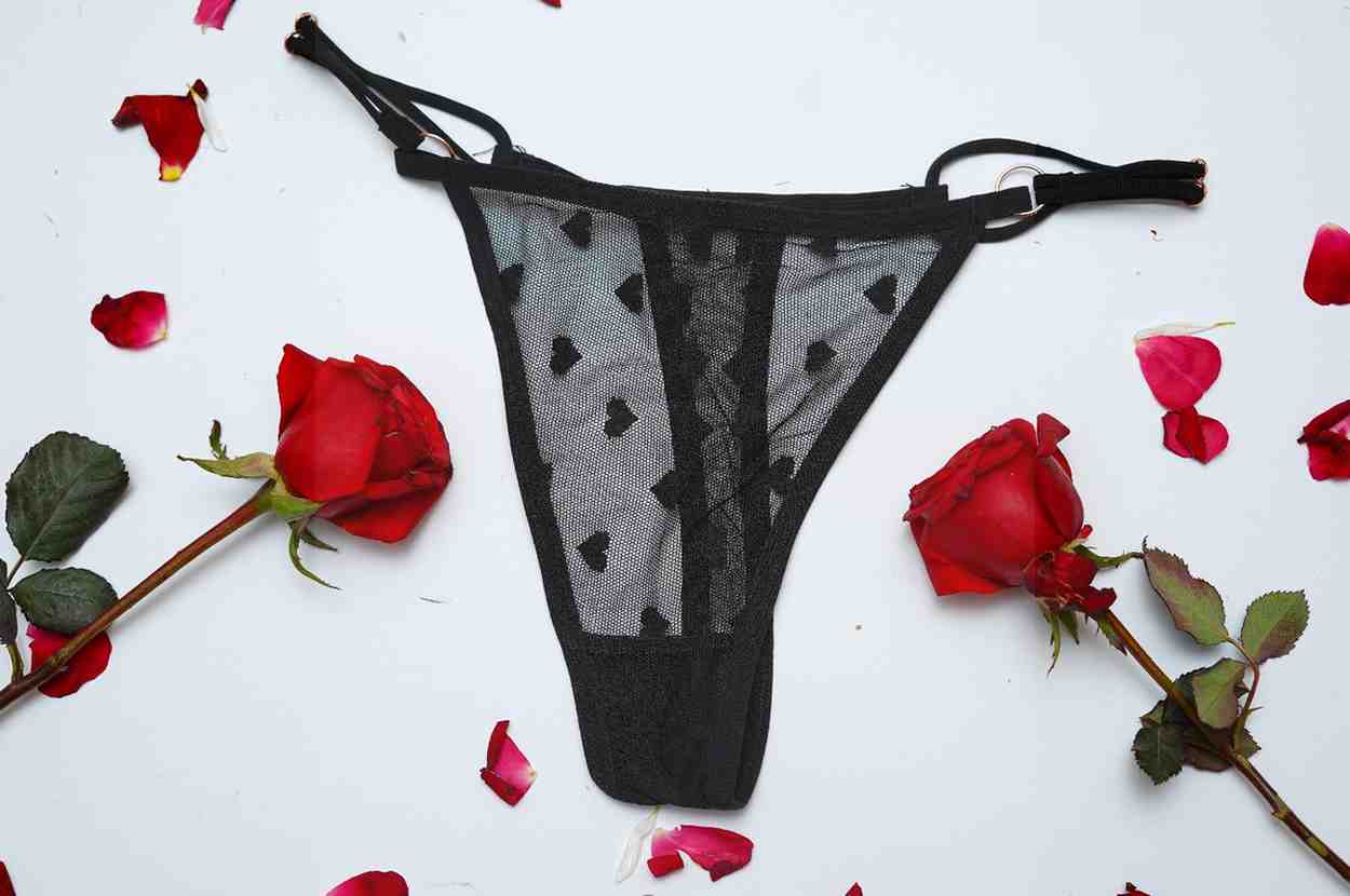 Lace Thin String High Cut Transparent Sexy Net Panty