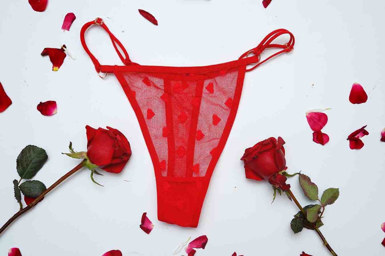 Lace Thin String High Cut Transparent Sexy Net Panty