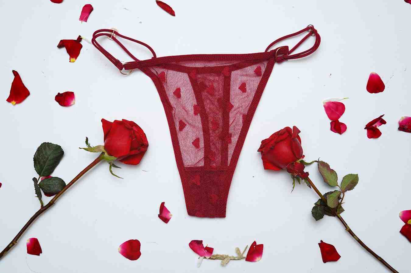 Lace Thin String High Cut Transparent Sexy Net Panty