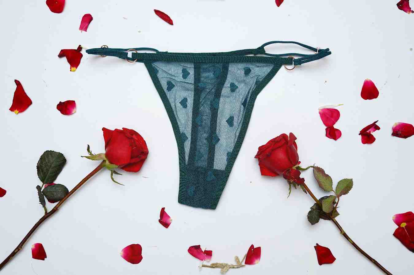 Lace Thin String High Cut Transparent Sexy Net Panty