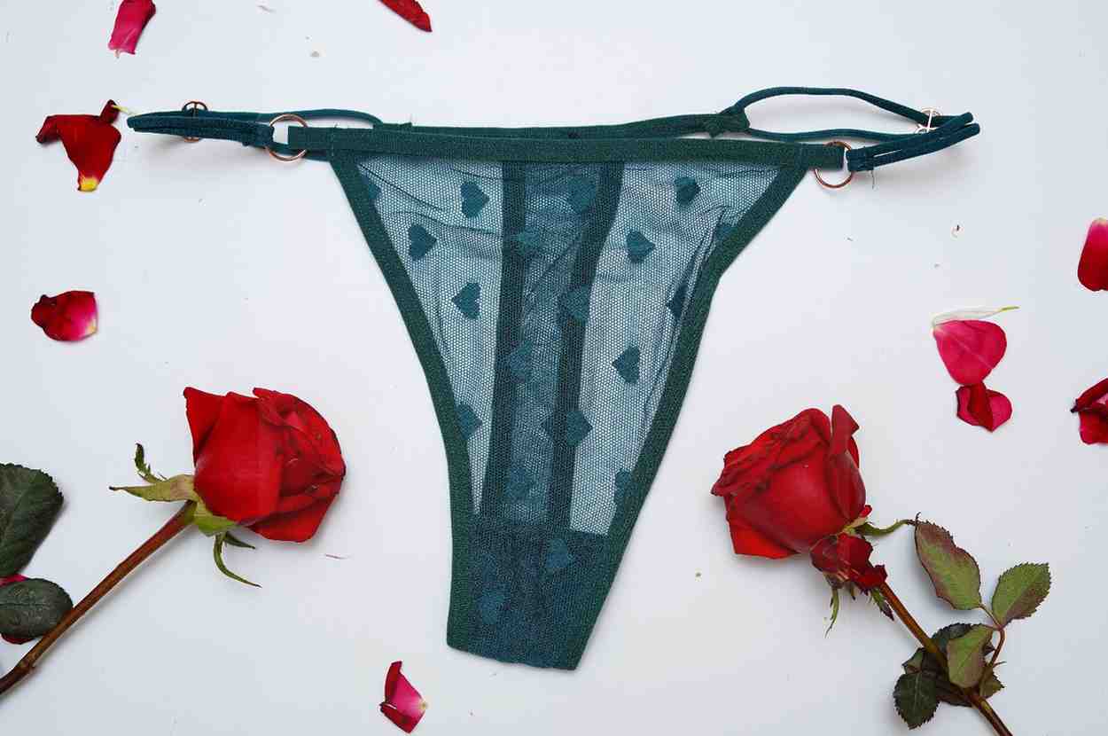 Lace Thin String High Cut Transparent Sexy Net Panty