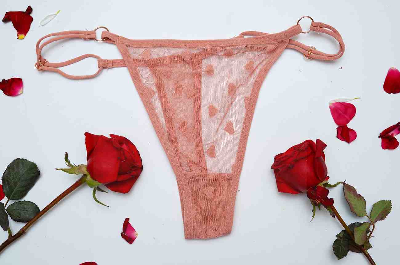 Lace Thin String High Cut Transparent Sexy Net Panty