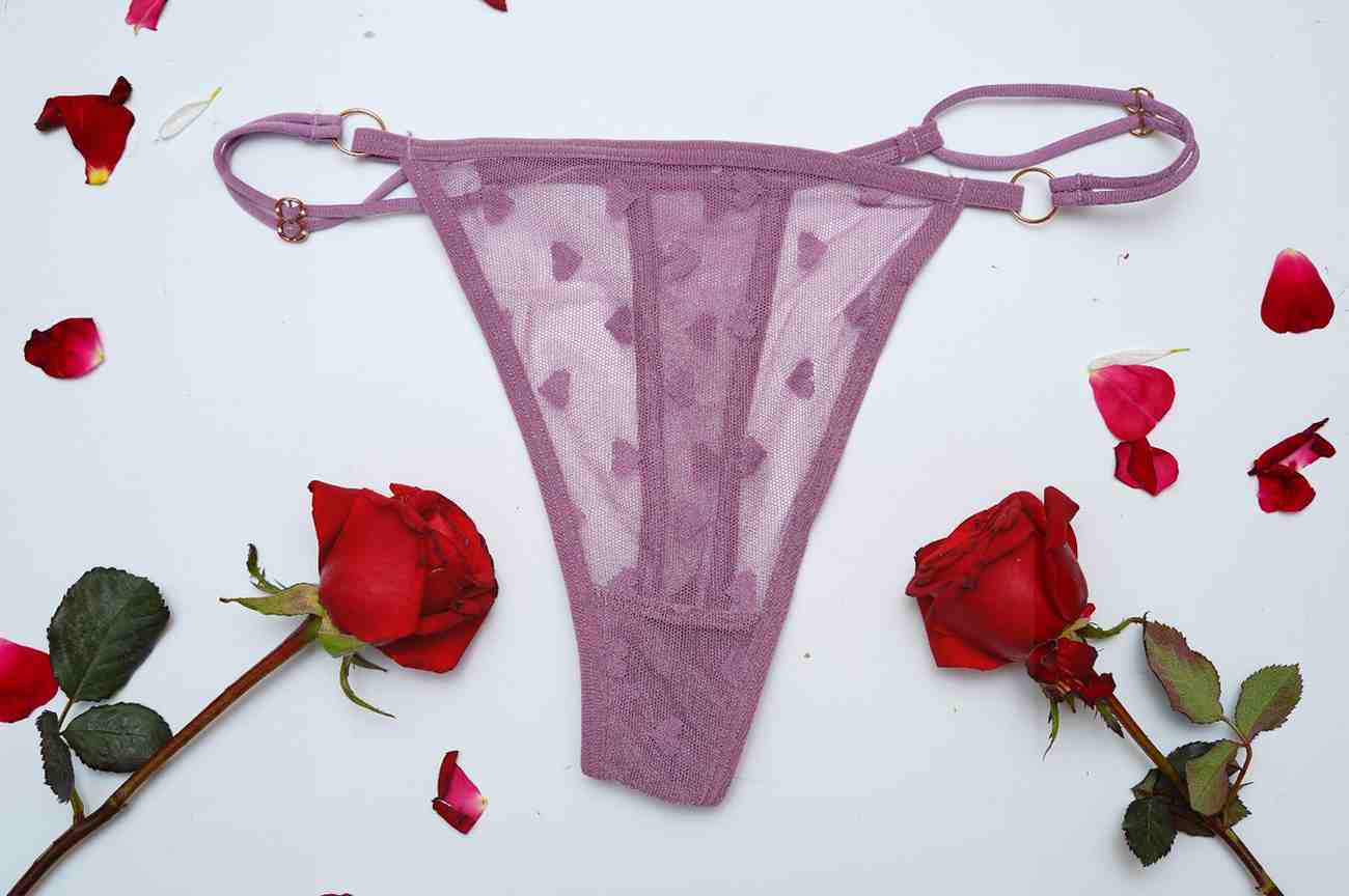 Lace Thin String High Cut Transparent Sexy Net Panty